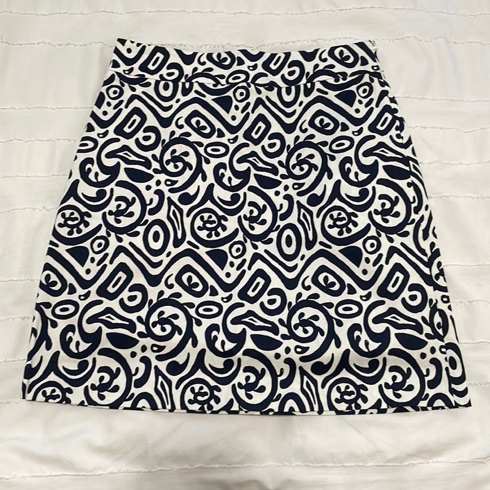Ann Taylor Factory Pencil Skirt